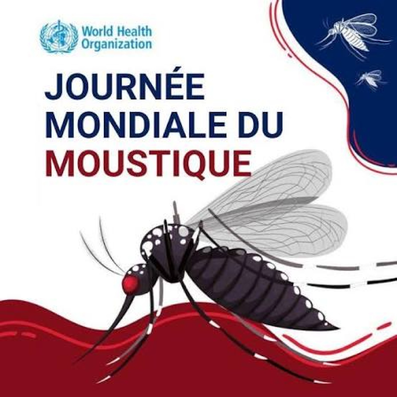 affiche de WHO ( ou OMS )pour la journée mondiale du moustique